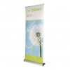 Barracuda roller banner - graphic example - be blown away